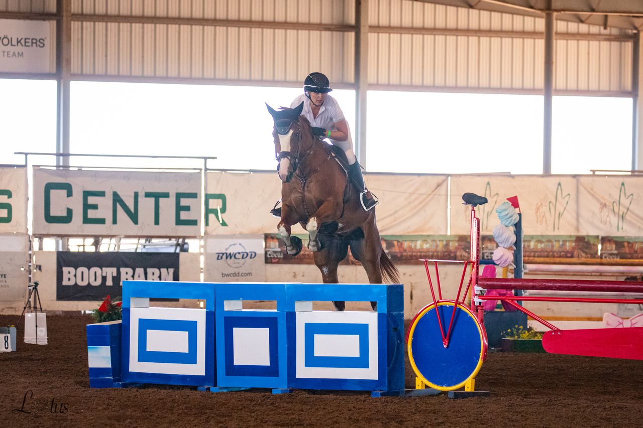 Show jumper clearing a fence in the indoor arena